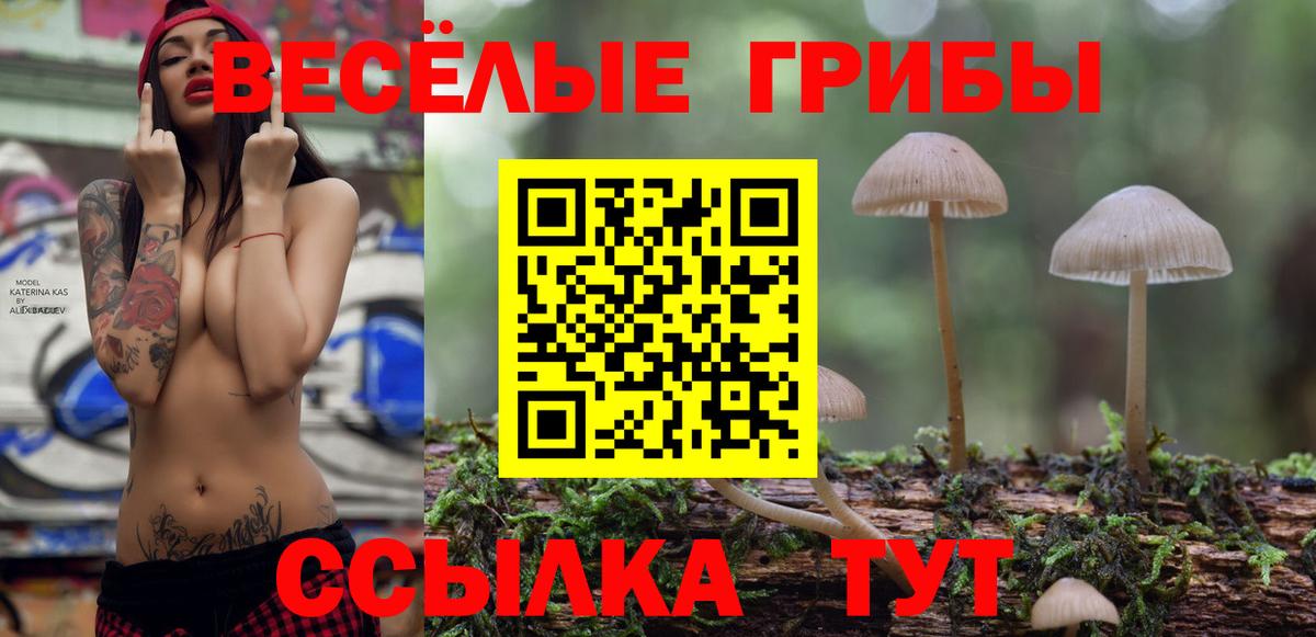 Снежинск  Псилоцибиновые грибы Magic Shrooms  Вход с VPN  Галлюциногенные грибы Magic Shrooms 